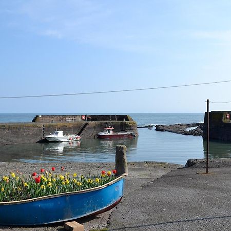 Harbour View Villa Johnshaven Exterior photo
